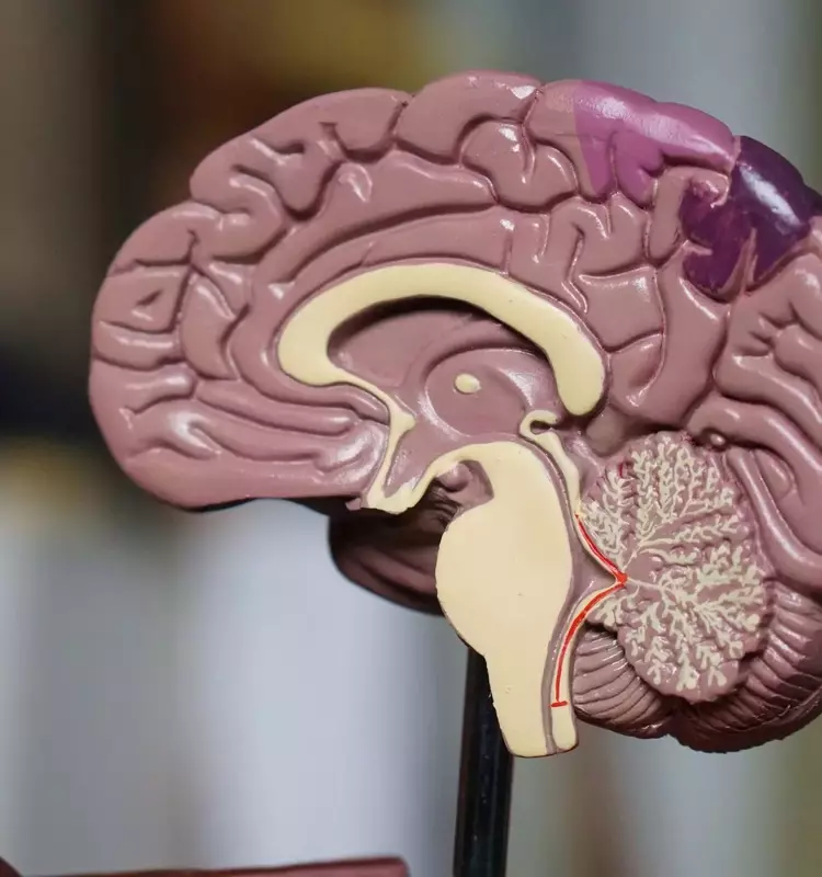 Un paciente canta rock durante su cirugía cerebral: Hito médico en Benalmádena