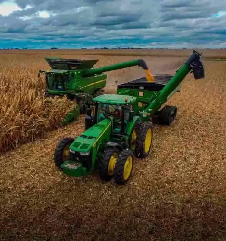 Crisis Climática: Amenaza Inminente a la Seguridad Alimentaria Global