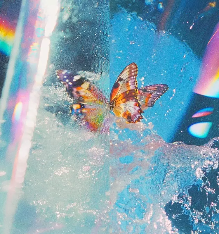 Daphni Unveils New Album "Butterfly" and Two Singles