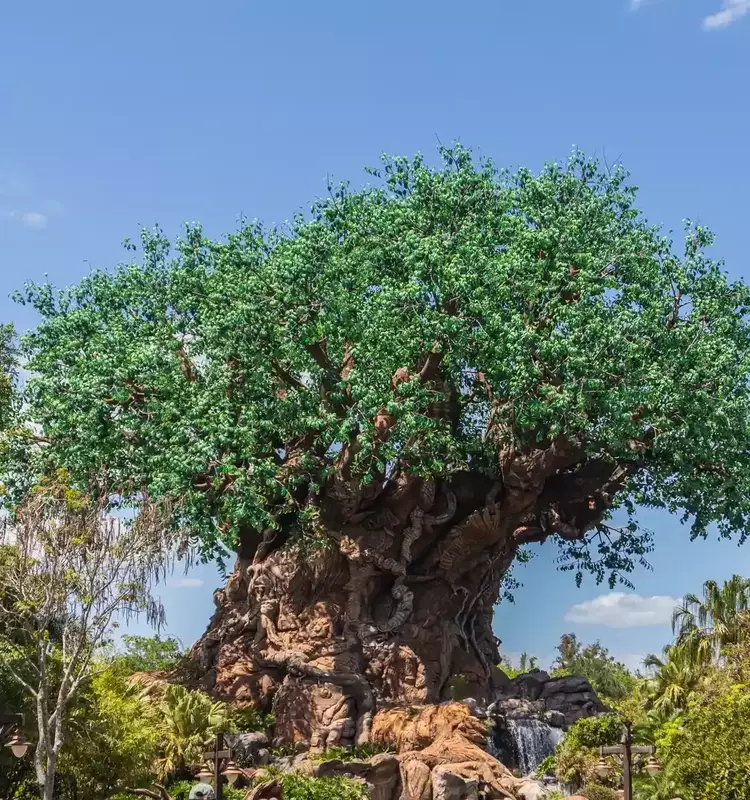 A Magical Family Journey: Discovering Unity at Disney's Animal Kingdom