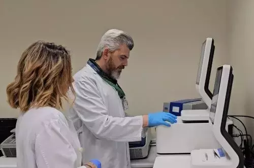 Descubren la influencia de células inmunes en el desarrollo del Alzheimer y tumores cerebrales