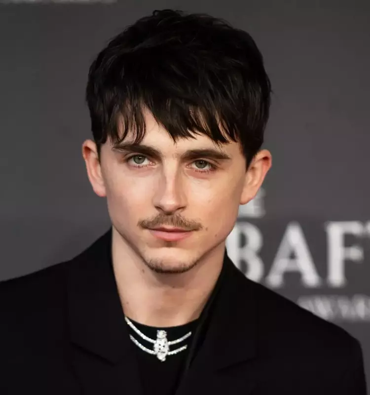 Timothée Chalamet as UK Rapper EsDeeKid: Debunking the Internet Rumor