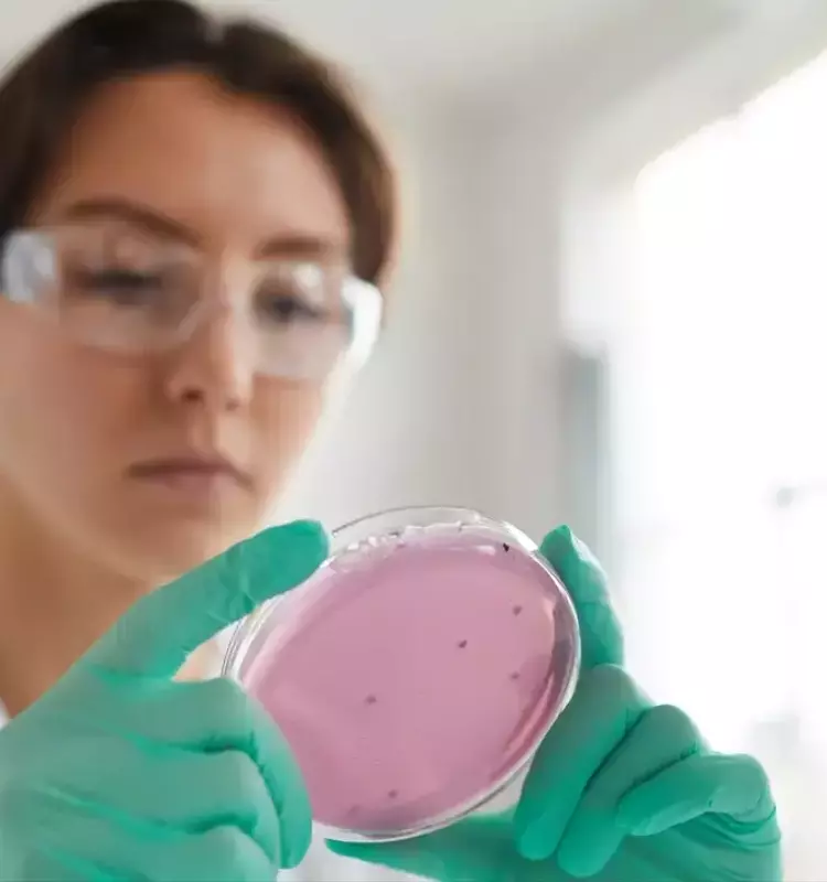 Innovador Tratamiento Oncológico: Bacterias como Aliadas Terapéuticas