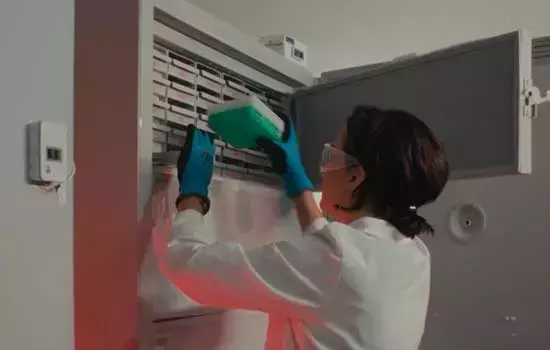 ALFA10: Un Algoritmo Pionero para la Detección Temprana del Alzheimer