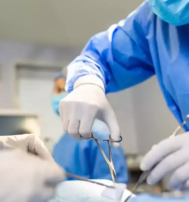Avance Revolucionario: Un Hito Médico Transforma la Donación de Órganos