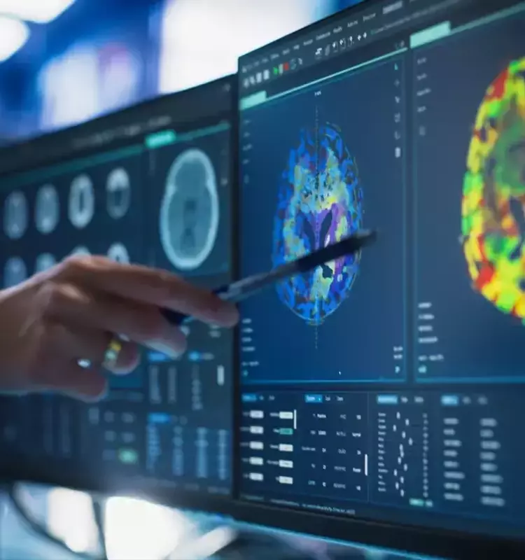 Descubriendo los Hitos de la Transformación Cerebral: Un Viaje desde el Nacimiento hasta la Vejez