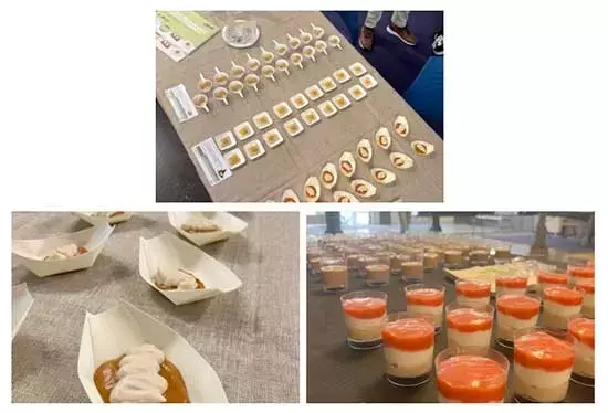SERHS Food Lanza Innovadora Gama de Platos Texturizados para Dietas Especiales