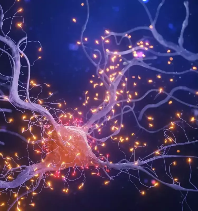La ciencia desentraña el misterio del espíritu navideño: un fenómeno cerebral y emocional