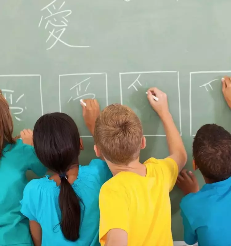 Online Spanish Tutor: Educational Structure, Core Concepts, and Learning Context