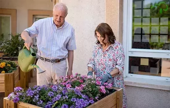 Cosechando Bienestar: La Terapia de Jardinería Transforma la Vida de los Mayores