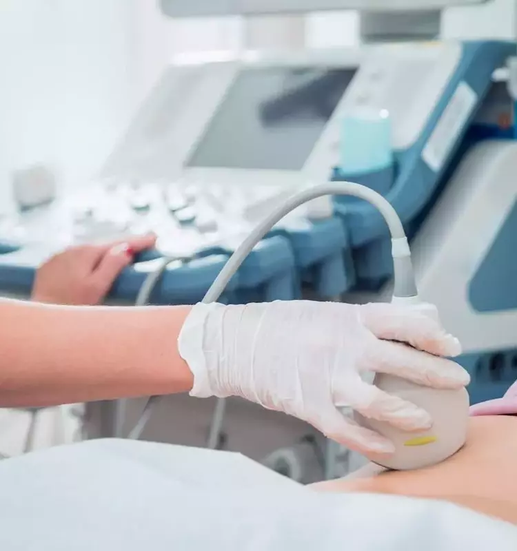 Online Animation Courses: Educational Structure, Core Concepts, and Learning Context