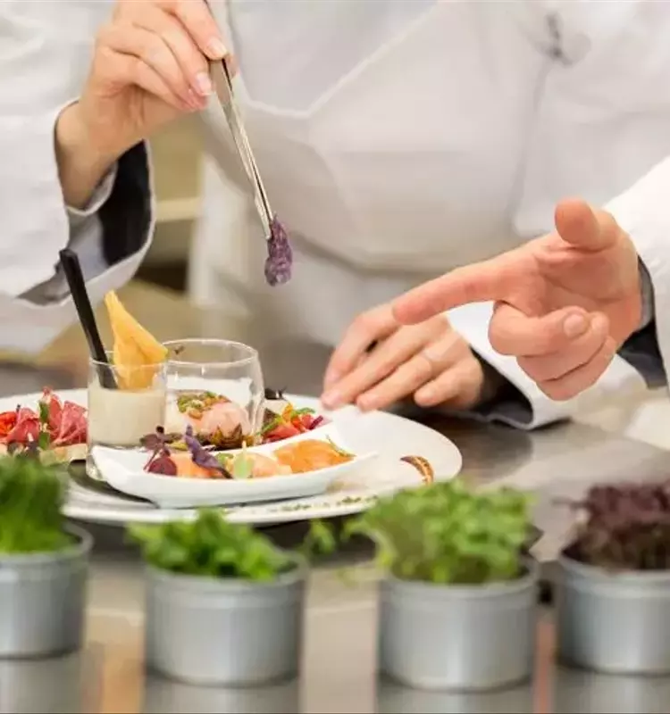 Vocational Training: Educational Purpose, Core Structure, and Workforce Context