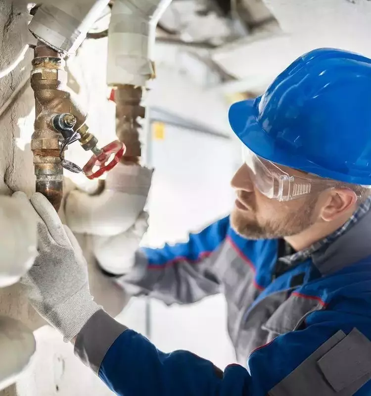 Online Advertising Degrees: Academic Focus, Core Curriculum, and Industry Context