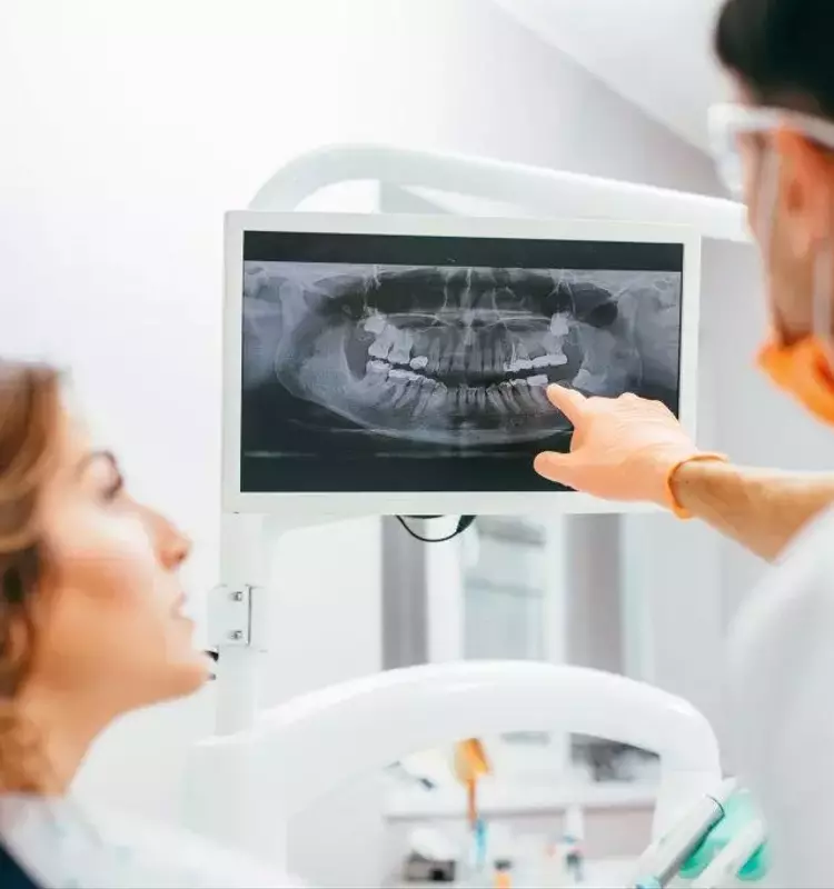 Nutrition Coach Certification: Educational Framework, Knowledge Areas, and Professional Context