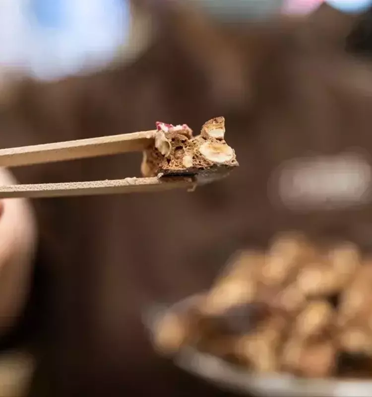 Turrón en Navidad: La Guía para una Elección Saludable