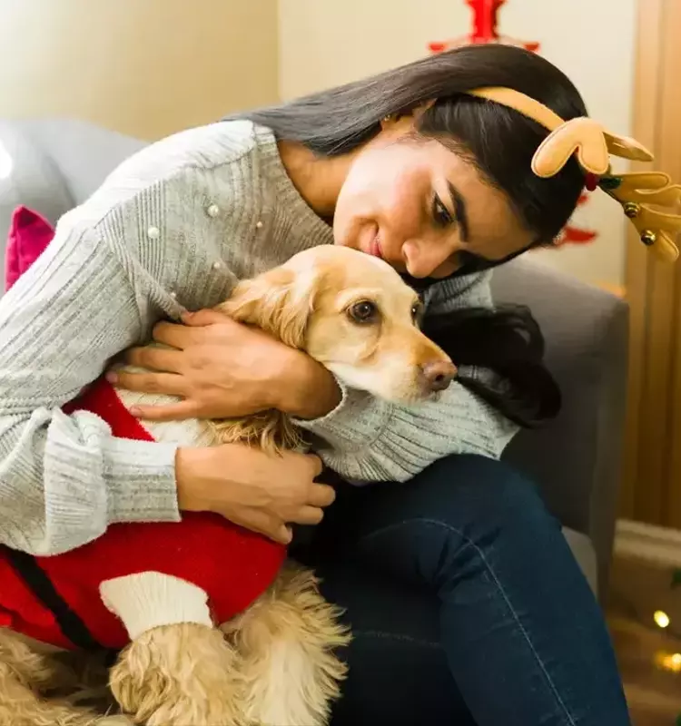 Los animales de compañía ofrecen consuelo durante las festividades navideñas