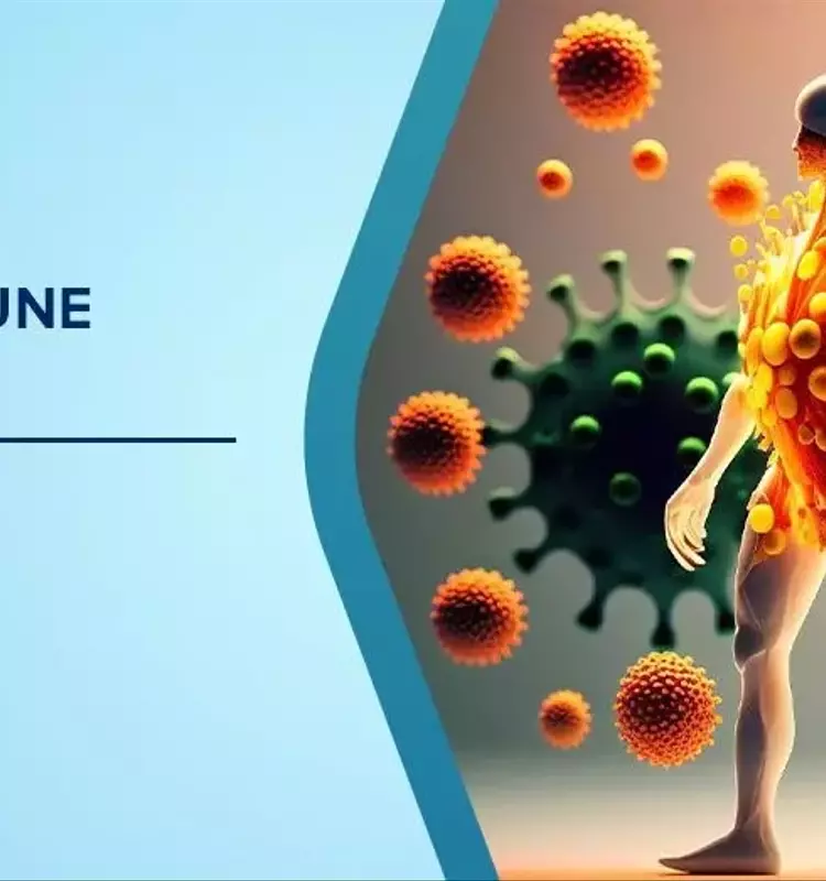 Autoimmune Disease: A Comprehensive Technical and Biological Overview