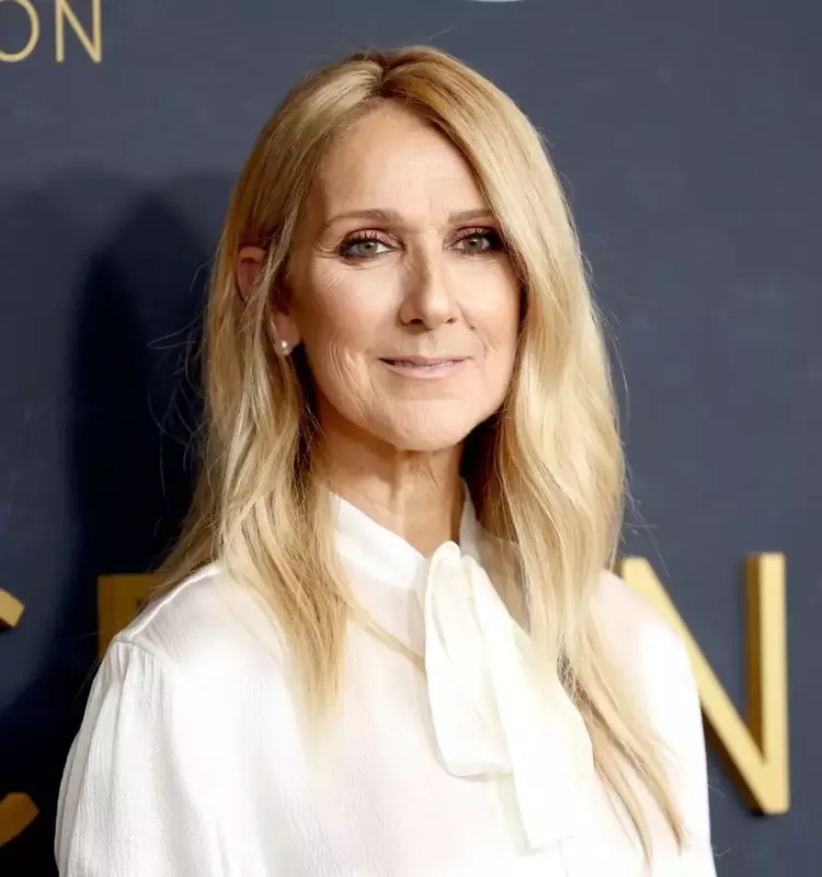 Celine Dion Transforms into the Grinch for Christmas Eve Celebration