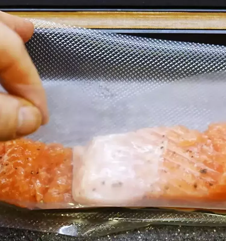 Guía Experta para la Conservación del Salmón: Mantén su Frescura y Nutrientes