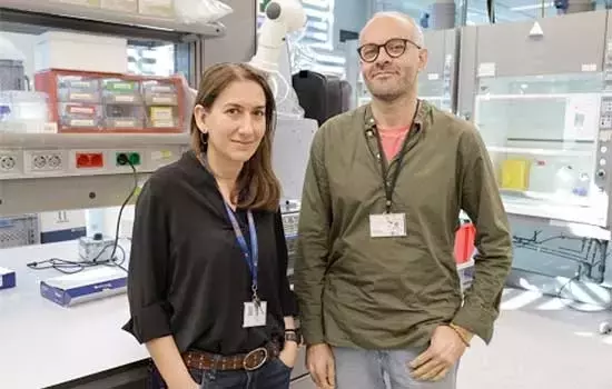 Nueva Herramienta Predictiva para el Riesgo de Ictus Isquémico Basada en Grasas Sanguíneas