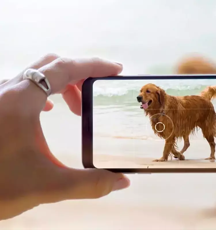 El poder neurocientífico de los vídeos de mascotas: un bálsamo para la mente
