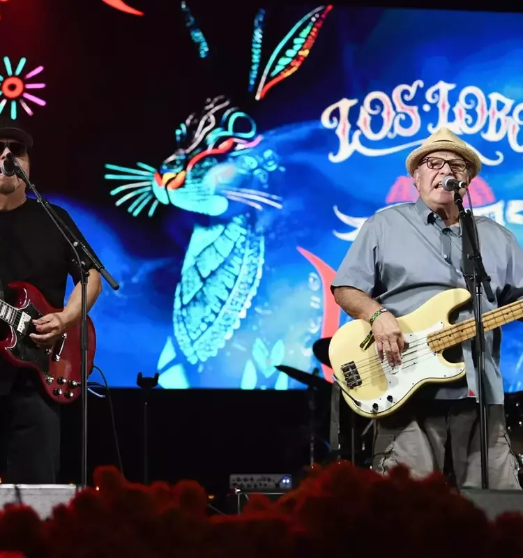 Los Lobos Initiates Legal Action Against Sony Over Unpaid Soundtrack Royalties