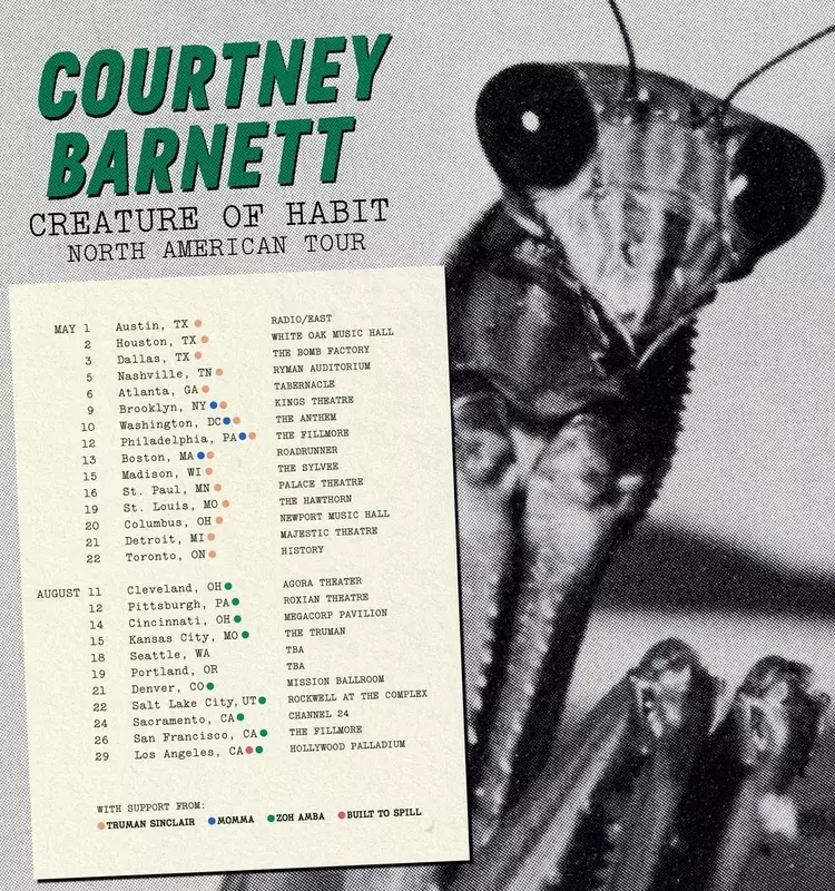 Courtney Barnett Unveils New Album "Creature of Habit" and Announces Extensive North American Tour