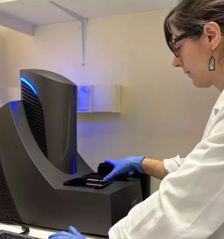 Descubren nuevas vías para frenar el avance del Alzheimer: un enfoque en la disfunción sináptica y la microglía