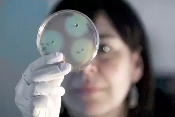 Bacterias que se Agrupan como Abejas: Clave para Combatir Infecciones Resistentes