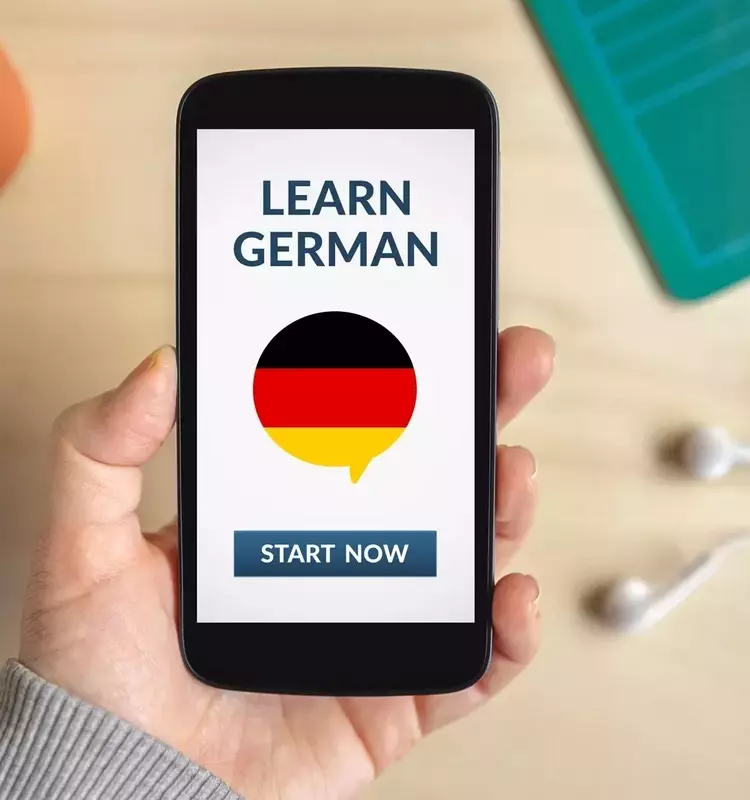 French Language Courses: A Systematic and Pedagogical Overview