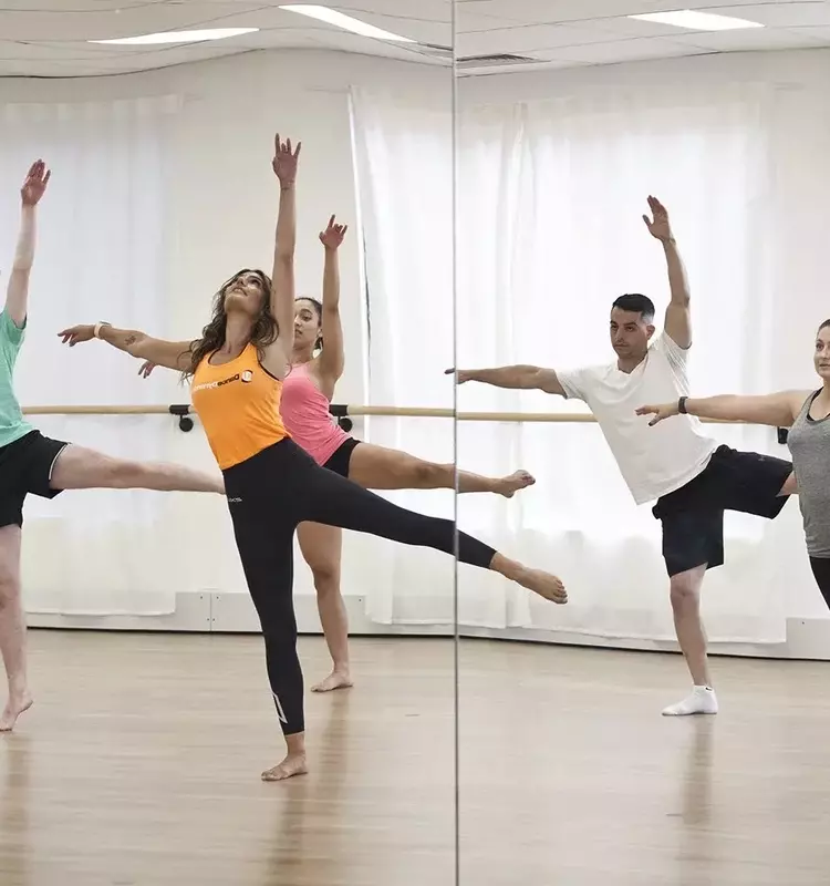 Violin Pedagogy: A Systematic and Technical Overview