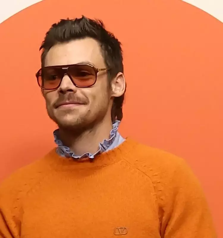 Harry Styles' Vatican Encounter and Album Insights