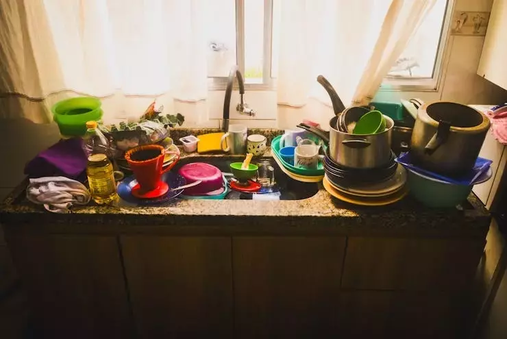 Unexpected Visit Triggers Mindset Shift on Home Imperfection