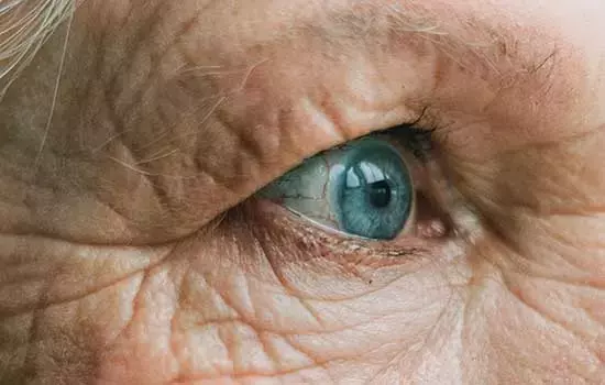 Microcirculación Capilar: Un Nuevo Horizonte en Enfermedades Oculares Degenerativas
