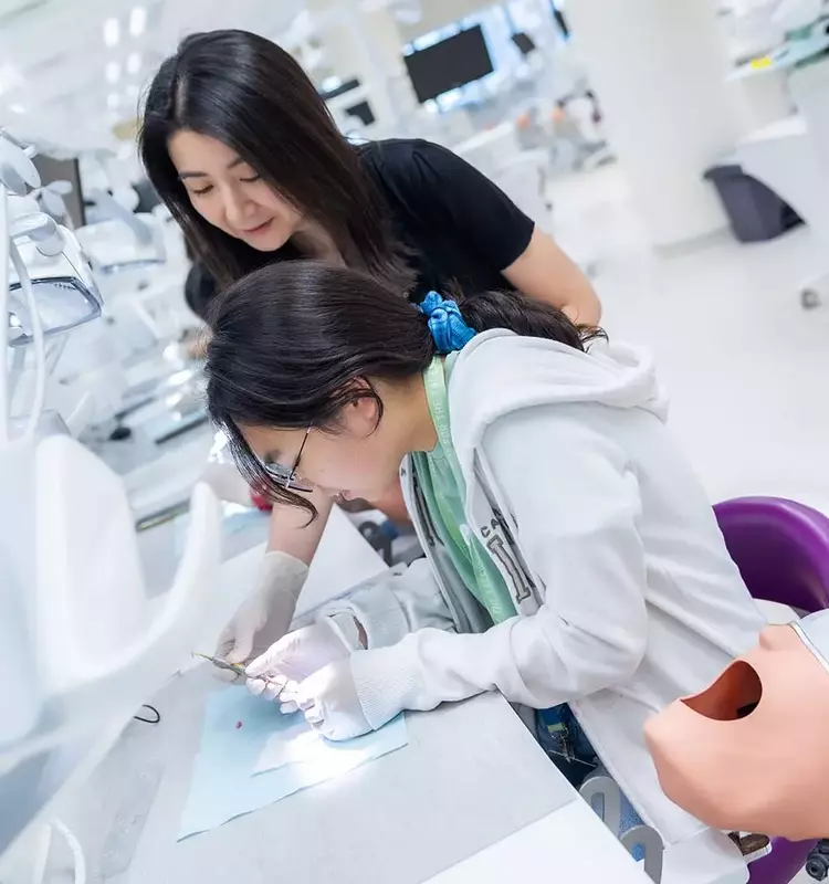 Online Registered Nurse (RN) Curriculum: A Systematic and Academic Overview