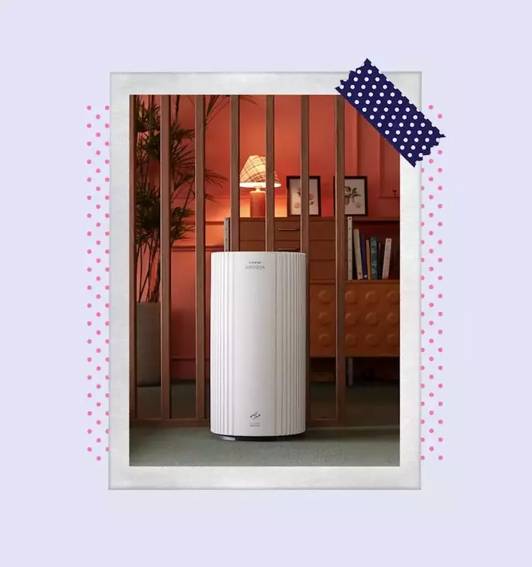 Leading Air Purifier Brands Recognized in 2026 Readers' Choice Awards