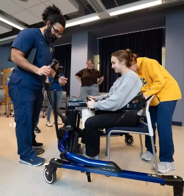 Nursing Courses: A Neutral, Scientific Overview