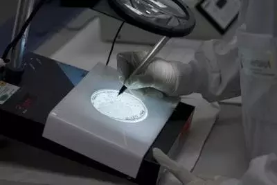 Revolución en la genómica: la IA AlphaGenome predice riesgos de cáncer y enfermedades con precisión inigualable