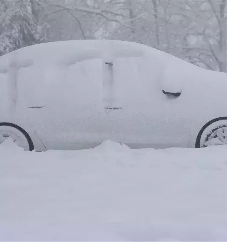Impacto de las Borrascas Invernales en el Cerebro y el Bienestar