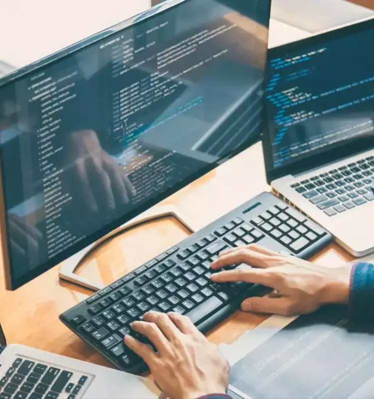 Software Testing Training: A Neutral Scientific Overview