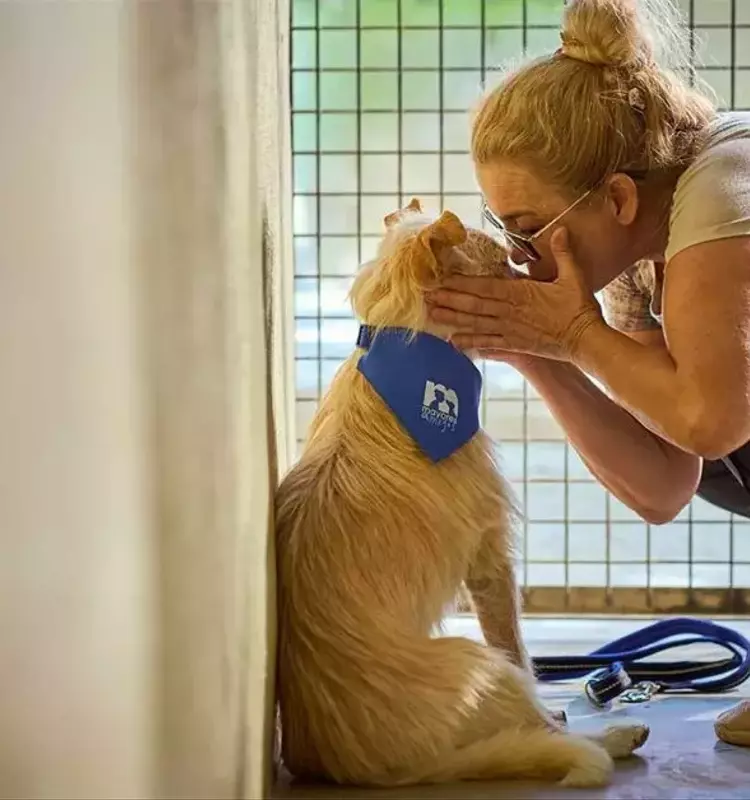 «Amigos Mayores» Une Refugios de Animales y Residencias de Ancianos para Combatir la Soledad