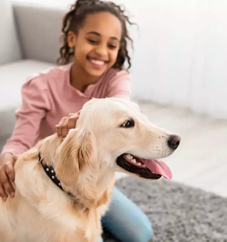 Choosing the Perfect Canine Companion for Families with Children