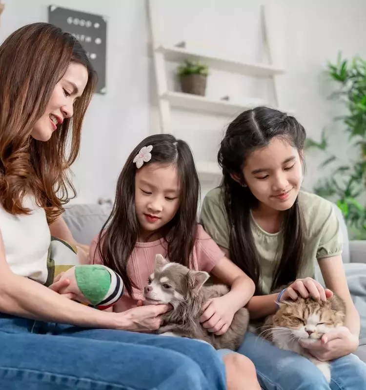 Evolving Parental Approaches: The 'Cat vs. Dog' Philosophy