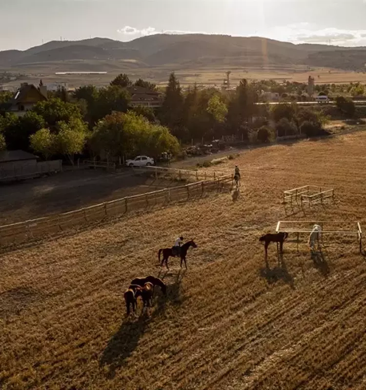 America's Most Expansive Private Landholdings