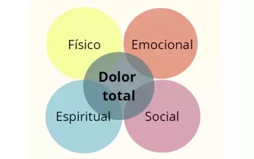 La Fisioterapia Paliativa: Un Pilar Fundamental para la Dignidad en la Vejez Vasca
