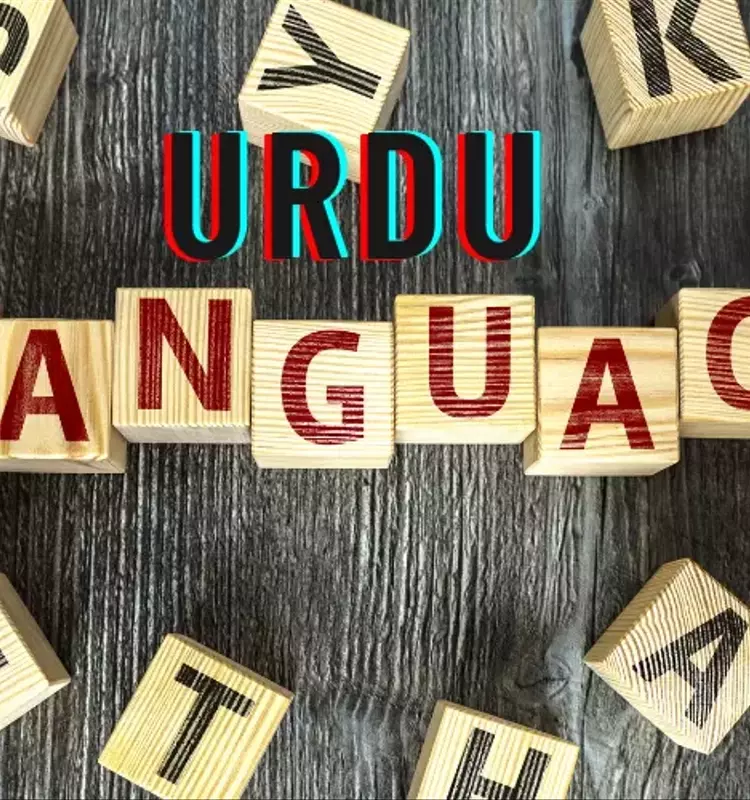 Online Japanese Courses: A Neutral Overview of Structure, Methodologies