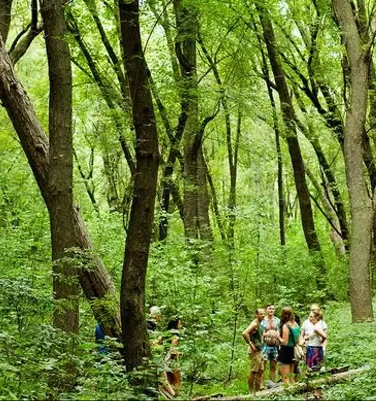 Eaux Claires Festival Announces 2026 Return at New Venue