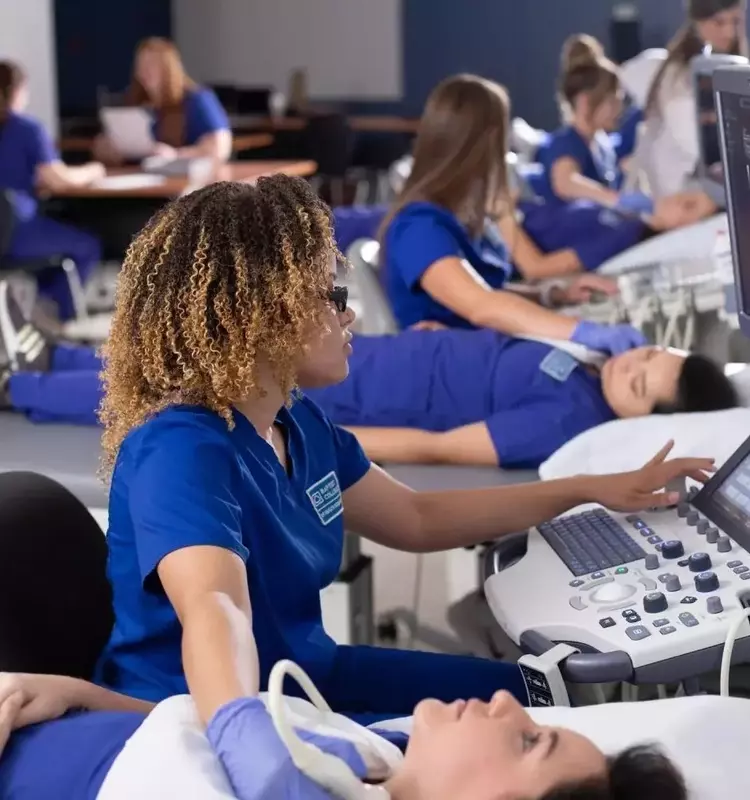 Neurodiagnostic Technologist Course: A Neutral Scientific Overview of Education