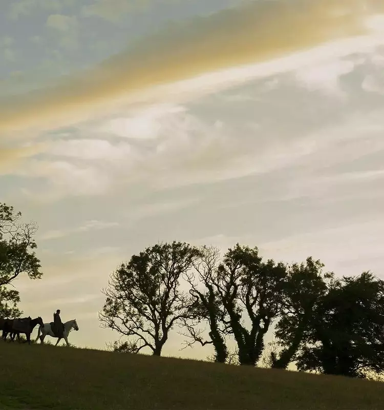 A Visual Feast: "A Knight of the Seven Kingdoms" Redefines Television Aesthetics