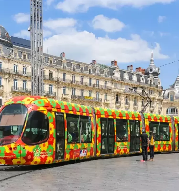 L'influence de la végétalisation sur la réduction de la mortalité liée à la chaleur à Paris